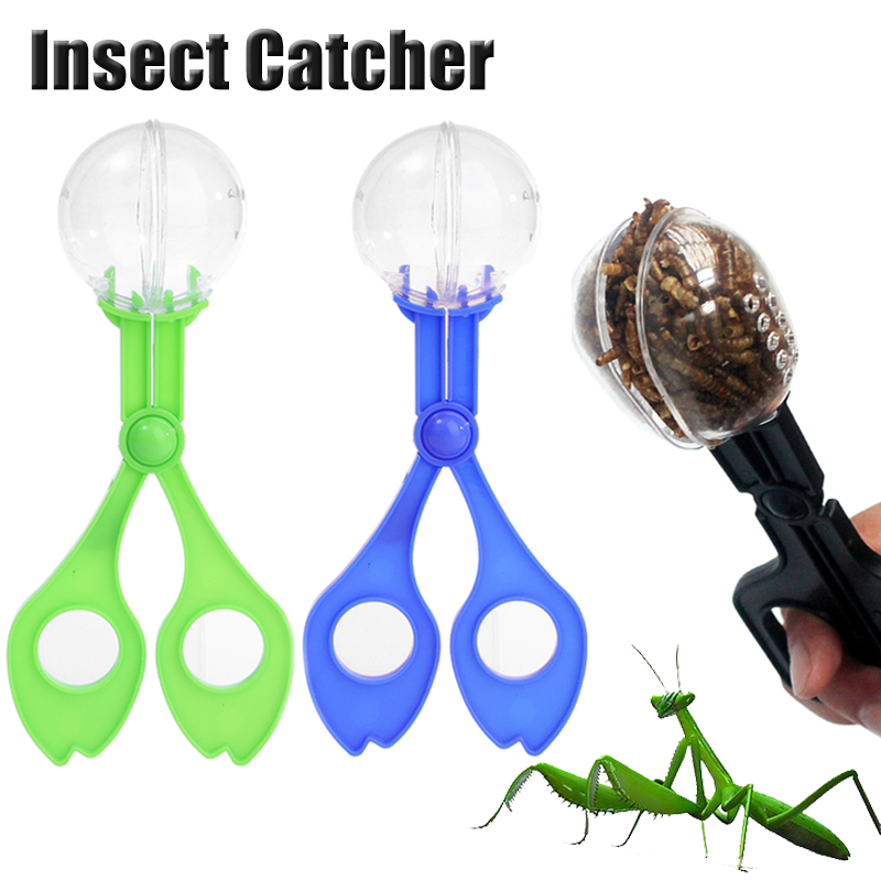 Kids Outdoor Adventure Insect  - Outdoor Adventure Kids 评论和价格